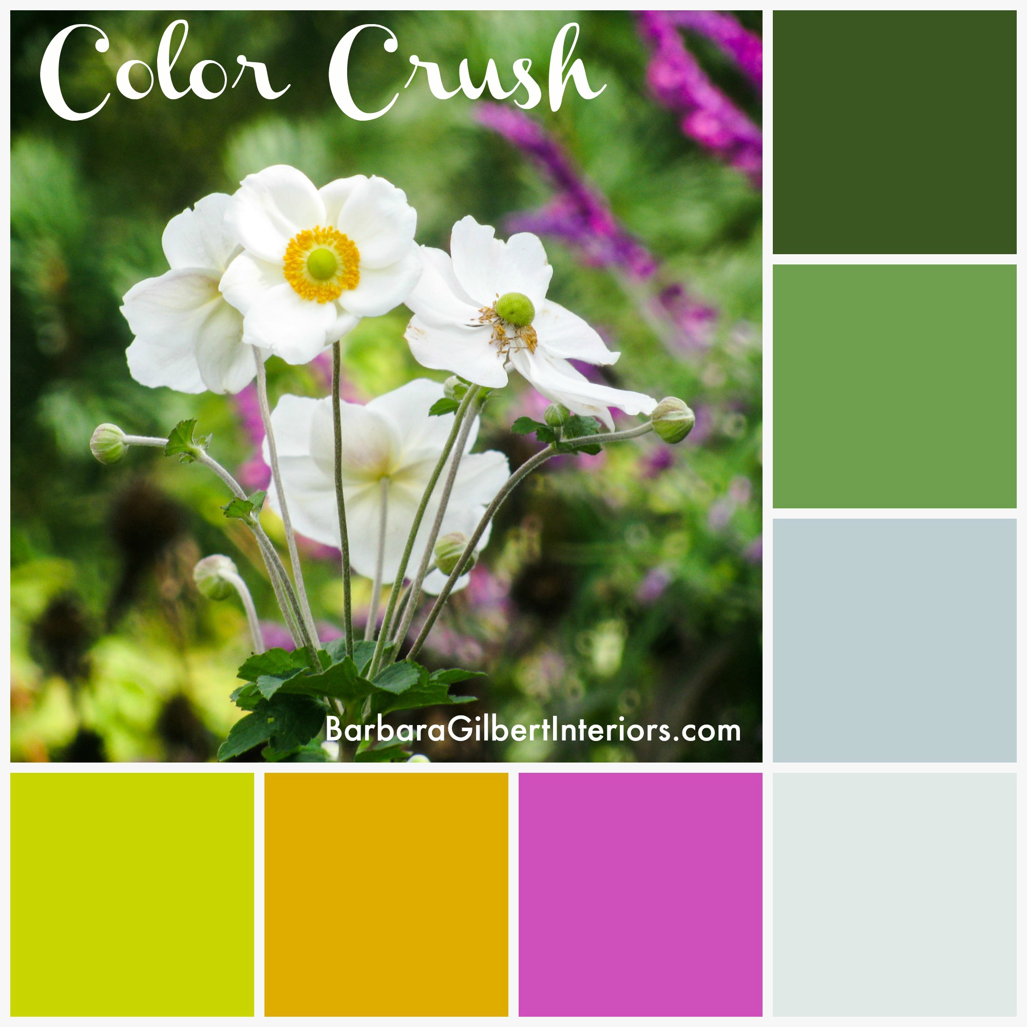Floral Color Palette | Interior Design Dallas | Barbara Gilbert Interiors
