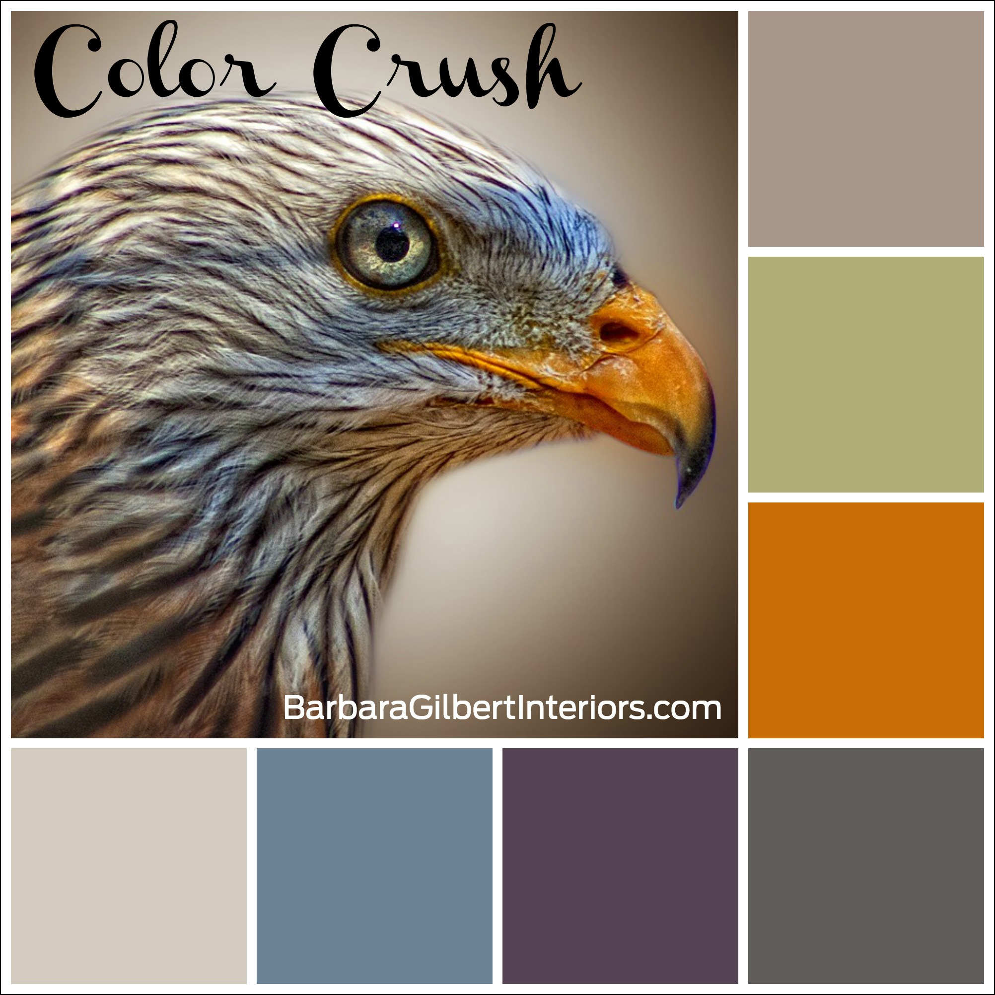Color Crush: Bird of Prey | Interior Design Dallas | Barbara Gilbert Interiors