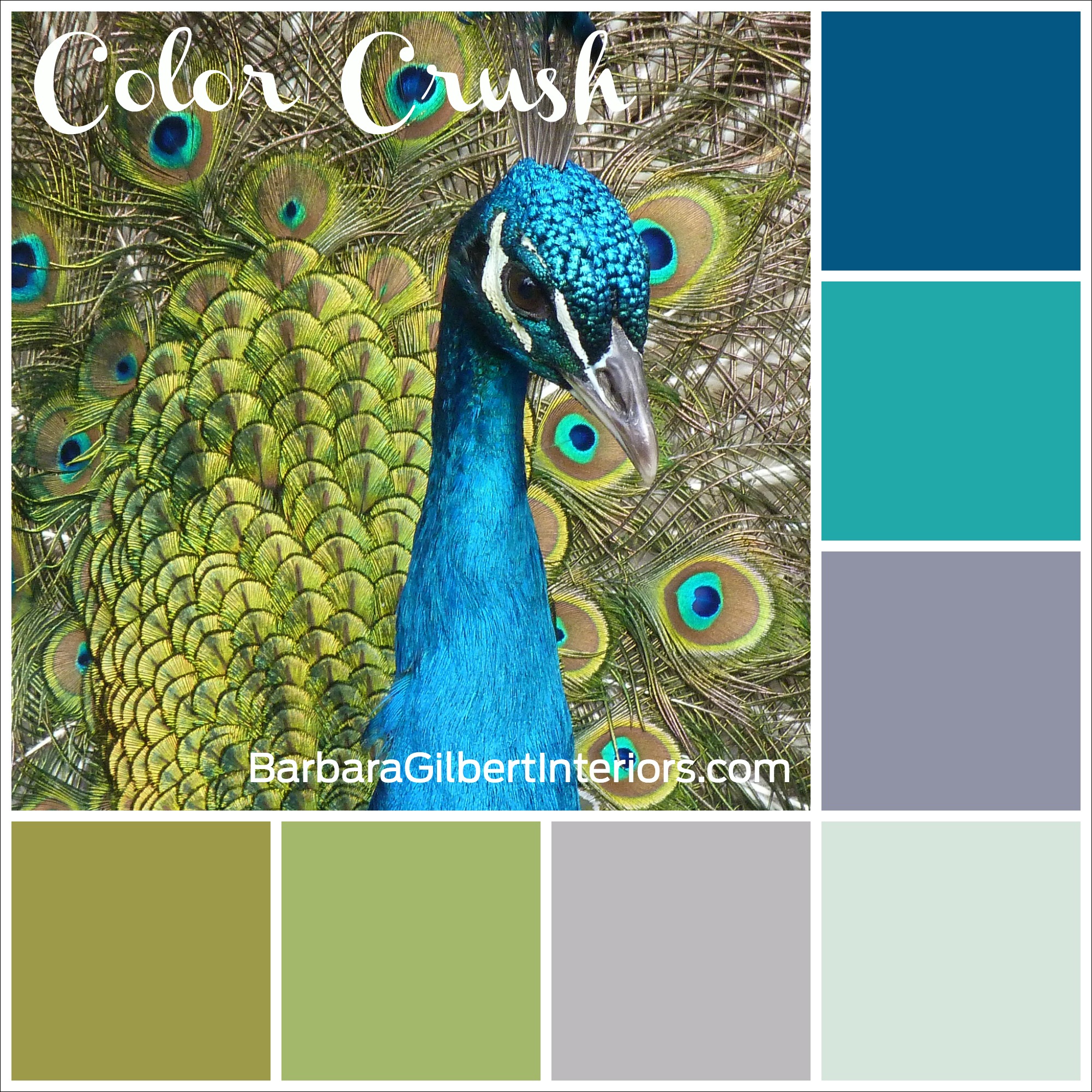 Color Crush: Pretty Peacock | Interior Design Dallas | Barbara Gilbert Interiors